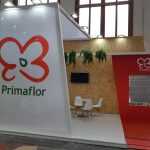 junio construccion stands barcelona